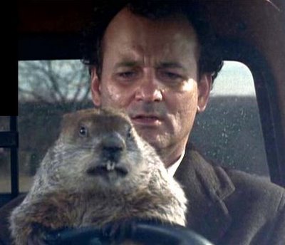 Bill Murray and Punxsutawney Phil - Groundhog Day